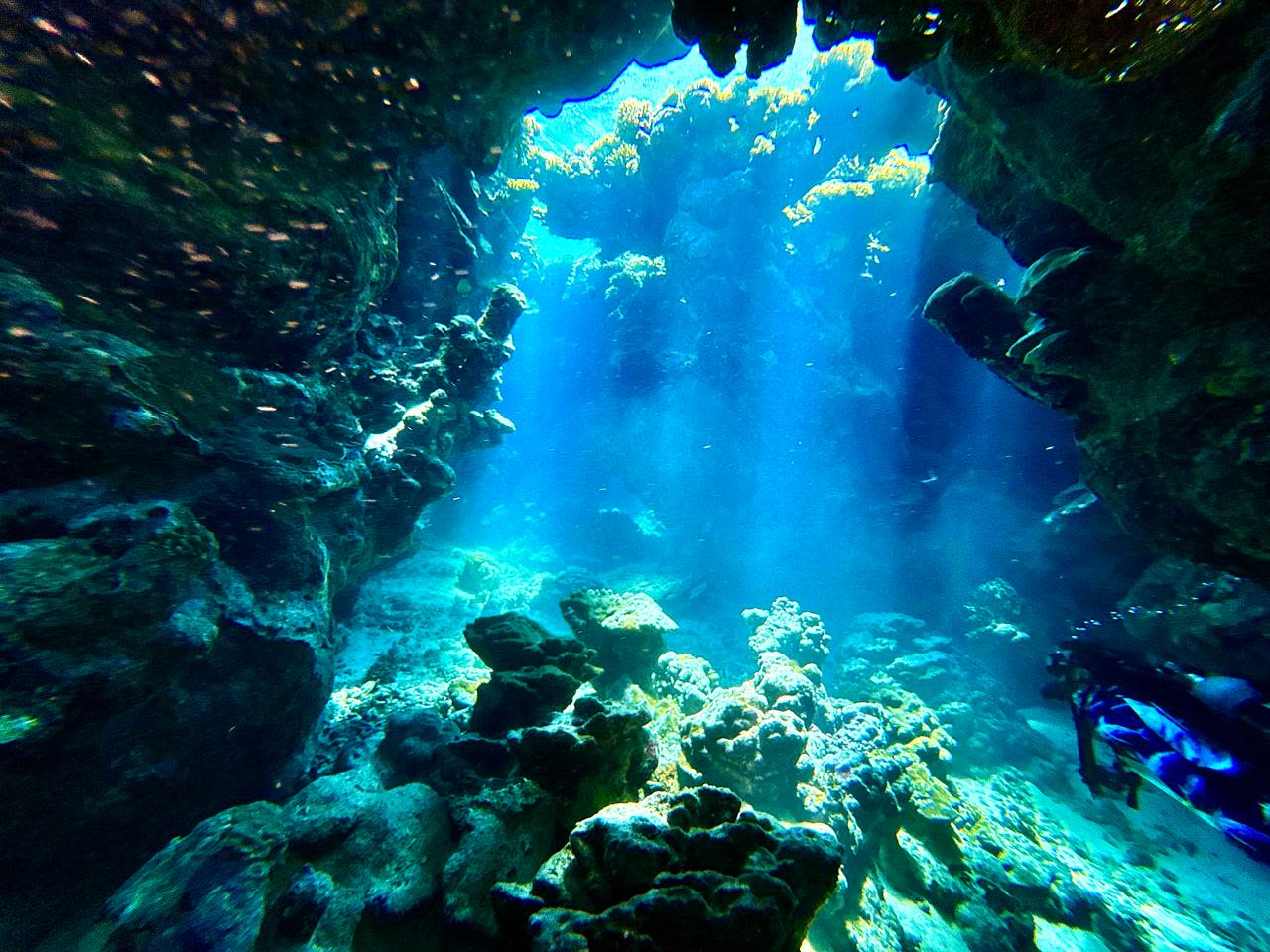 Shafts of sunlight falling through an opening in the reef into a cavern floored with coral.