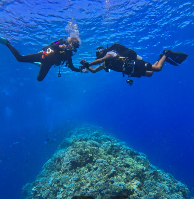 Two divers side by side over a coral head, one holding a camera, the surface rippling with light above them.