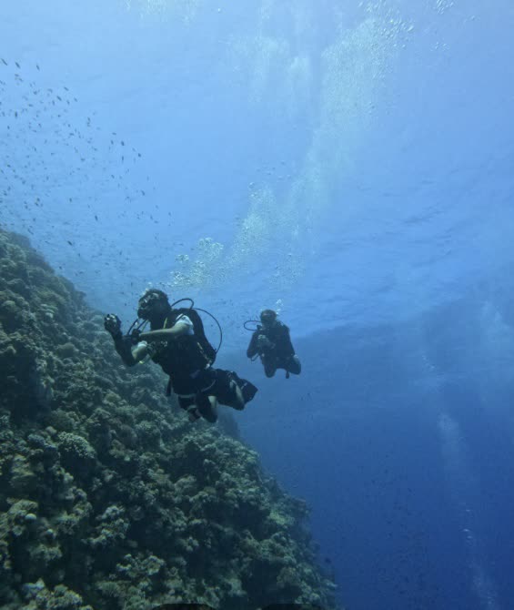 Divers descending along a sloping reef.