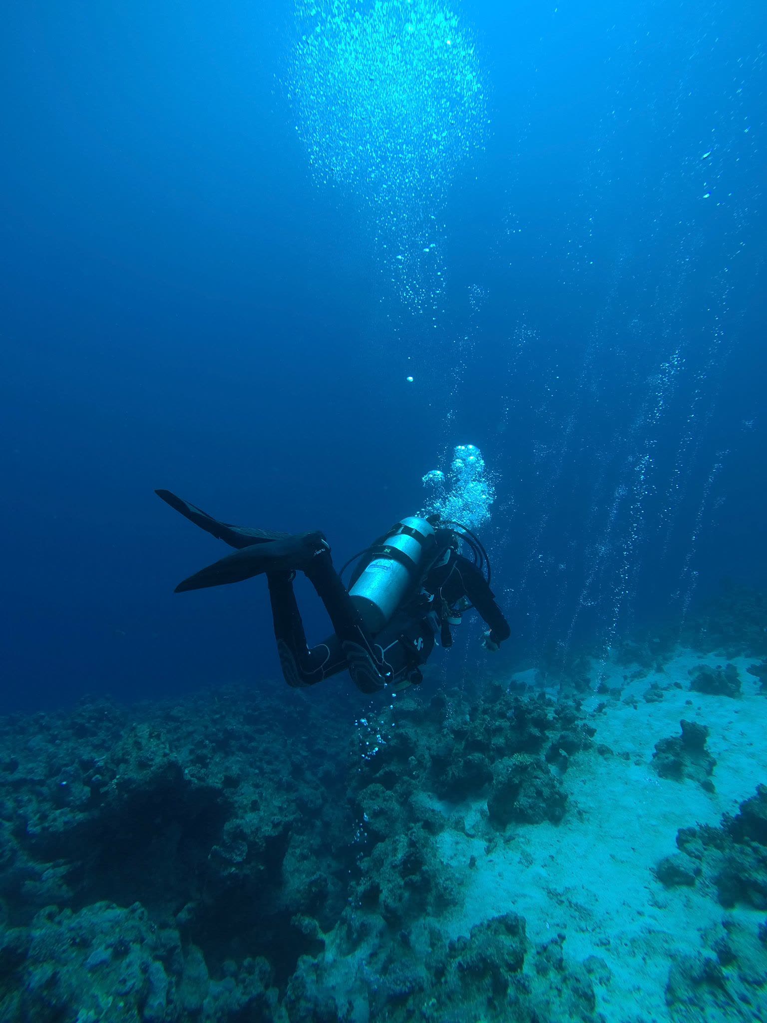 A diver finning slowly over the reef, columns of bubbles rising behind them toward the surface.
