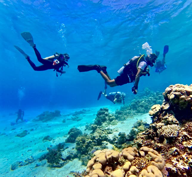Two divers finning side by side above a shallow, sunlit coral garden, a third diver lower down near the reef.
