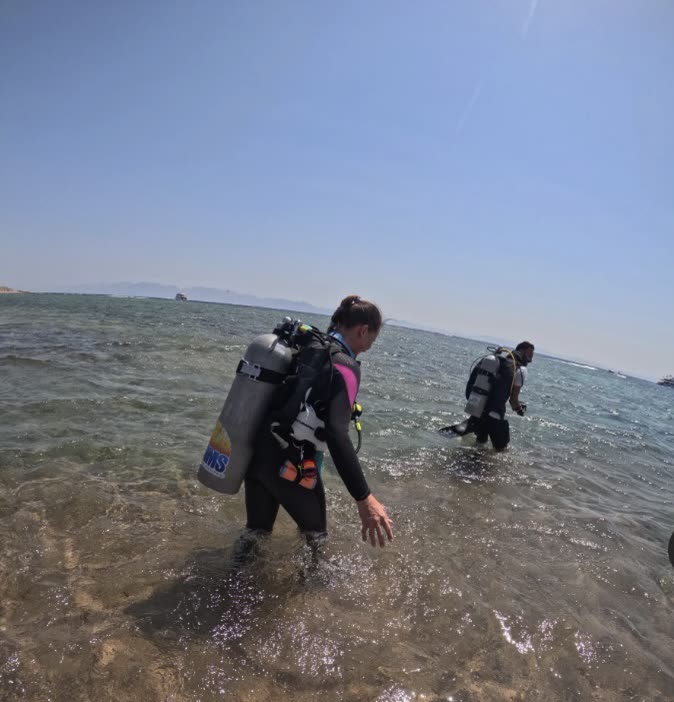 Divers walking into the water from the shore.
