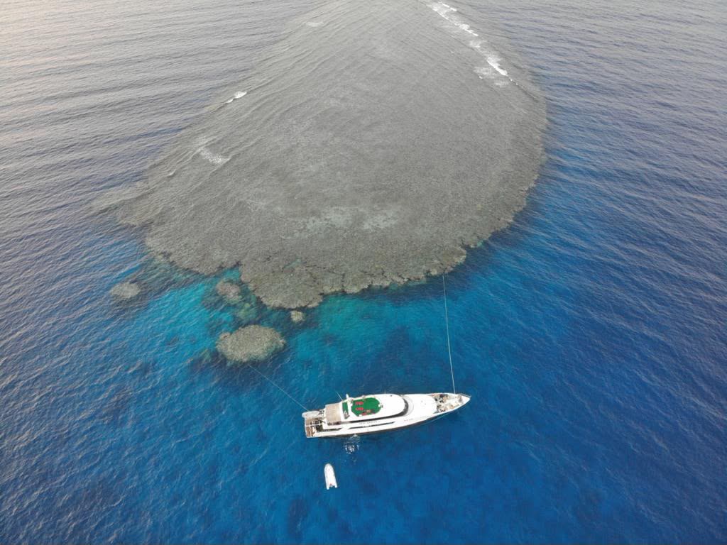 A round offshore reef from above, a boat moored at its edge.