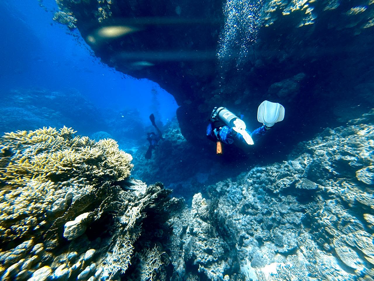 A diver dropping between reef walls inside a narrow canyon, bubbles trailing up toward the light.